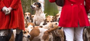 Triple Meet Ehlbeck 2015