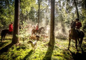 Jagd_Dreilingen 2015