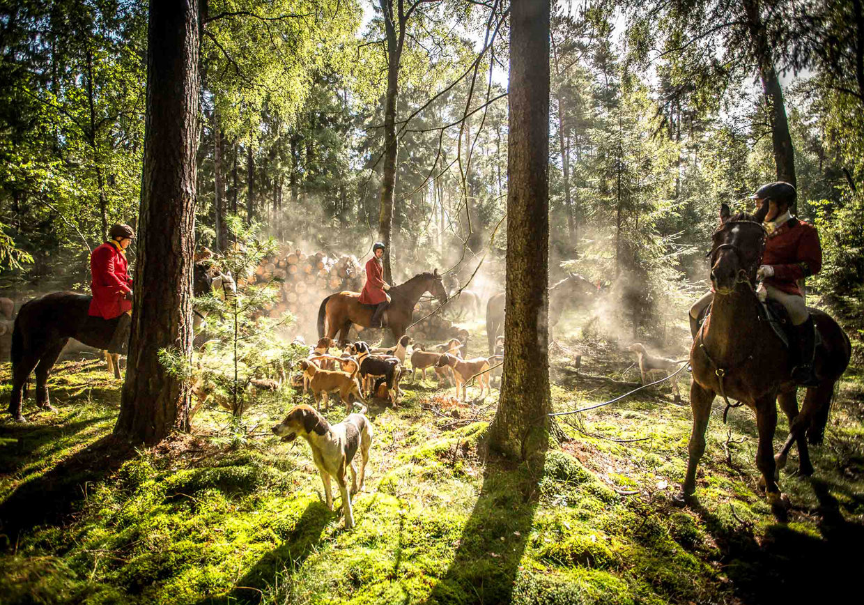 Jagd_Dreilingen 2015