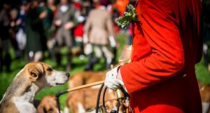 Jagd Dreilingen 2015