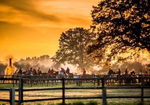 Jagd Isernhagen 2015