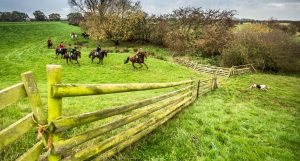 Jagd Thedinghausen 2015