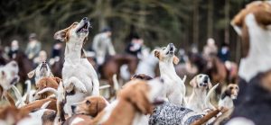 Triple Meet Wense 2016