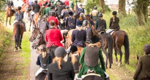 Jagd Dreilingen 2016