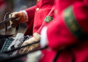 Cross Country Jestebur 2016