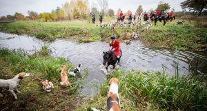 Jagd Isernhagen 2016