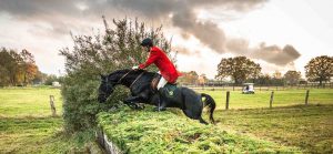 Jagd Isernhagen 2016