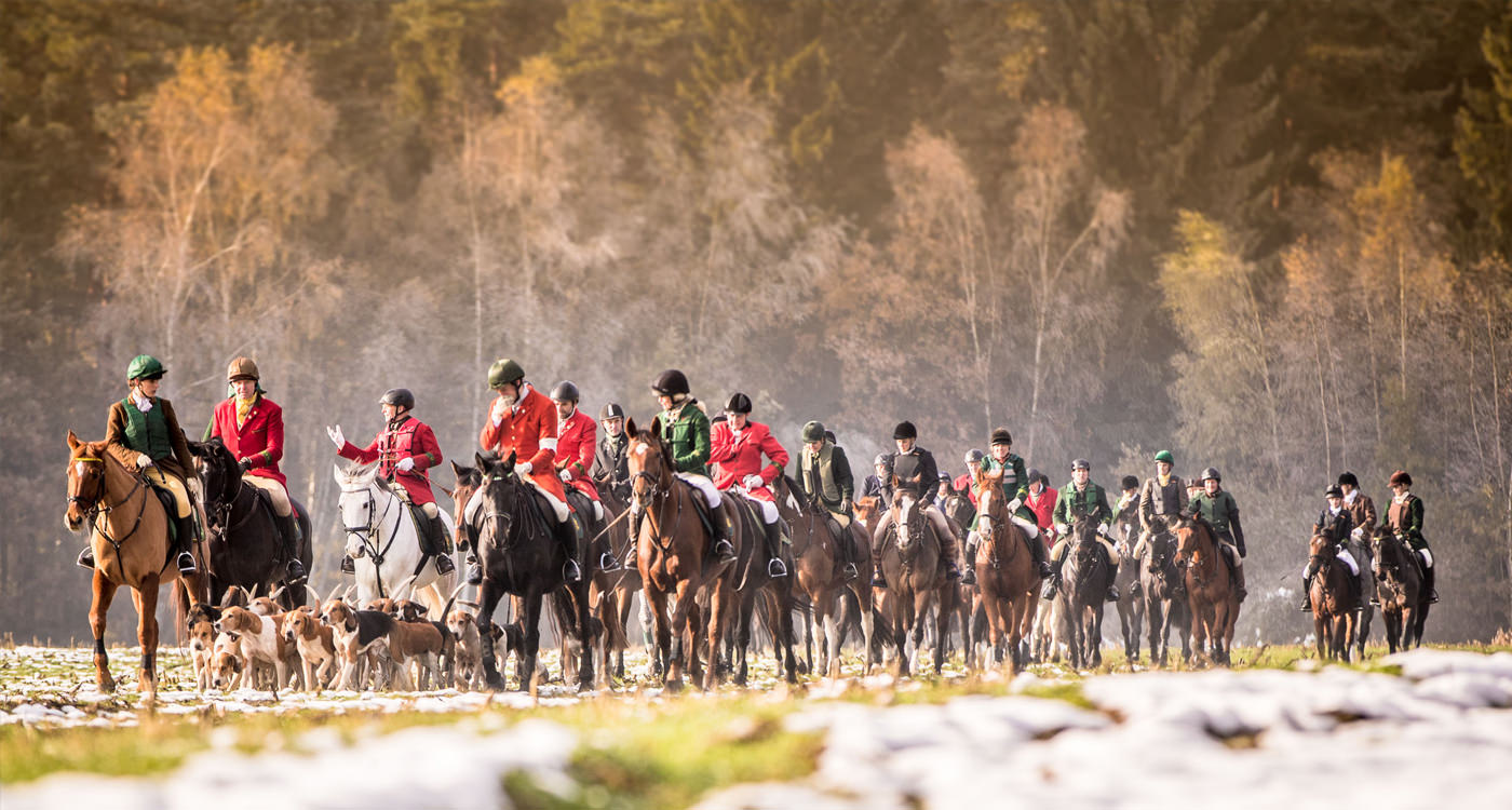 Jagd Hermannsburg 2016