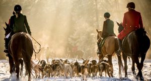 Jagd Hermannsburg 2016