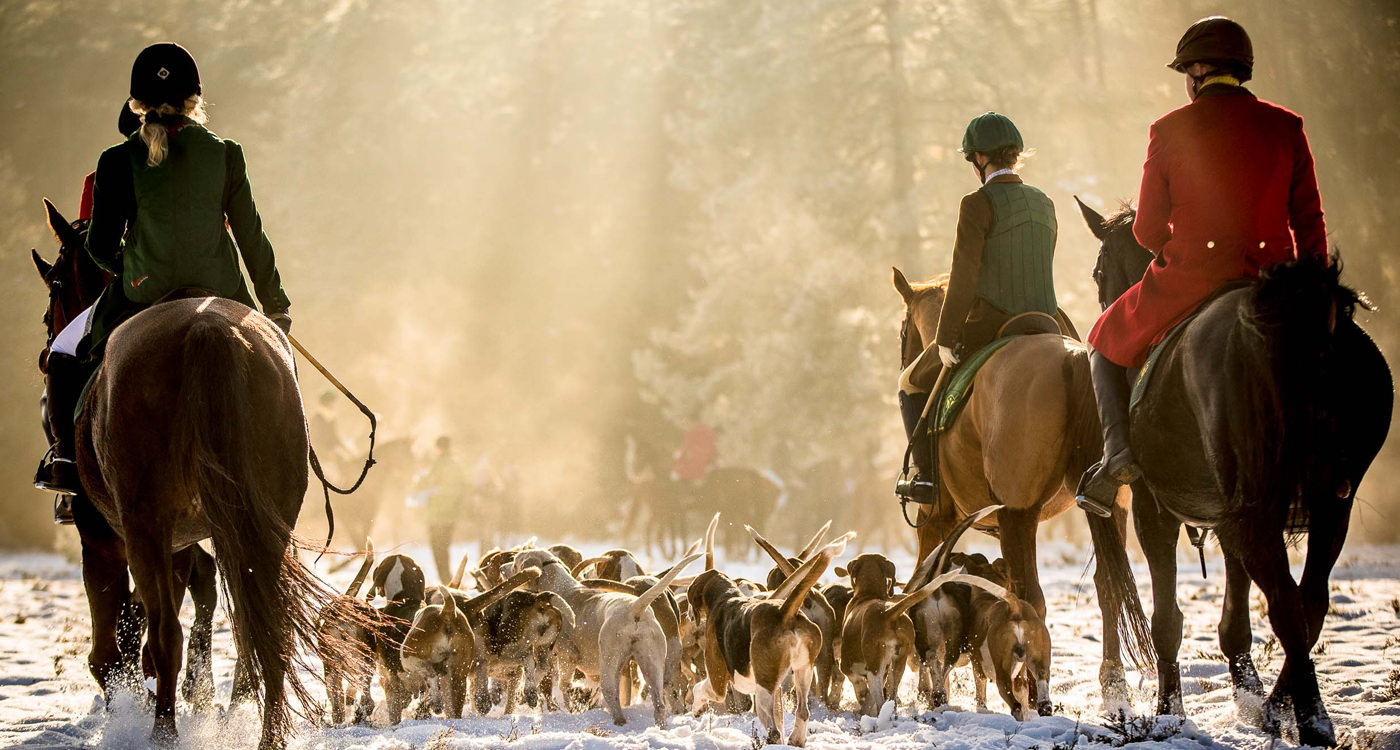 Jagd Hermannsburg 2016