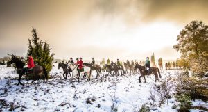 Jagd Hermannsburg 2016