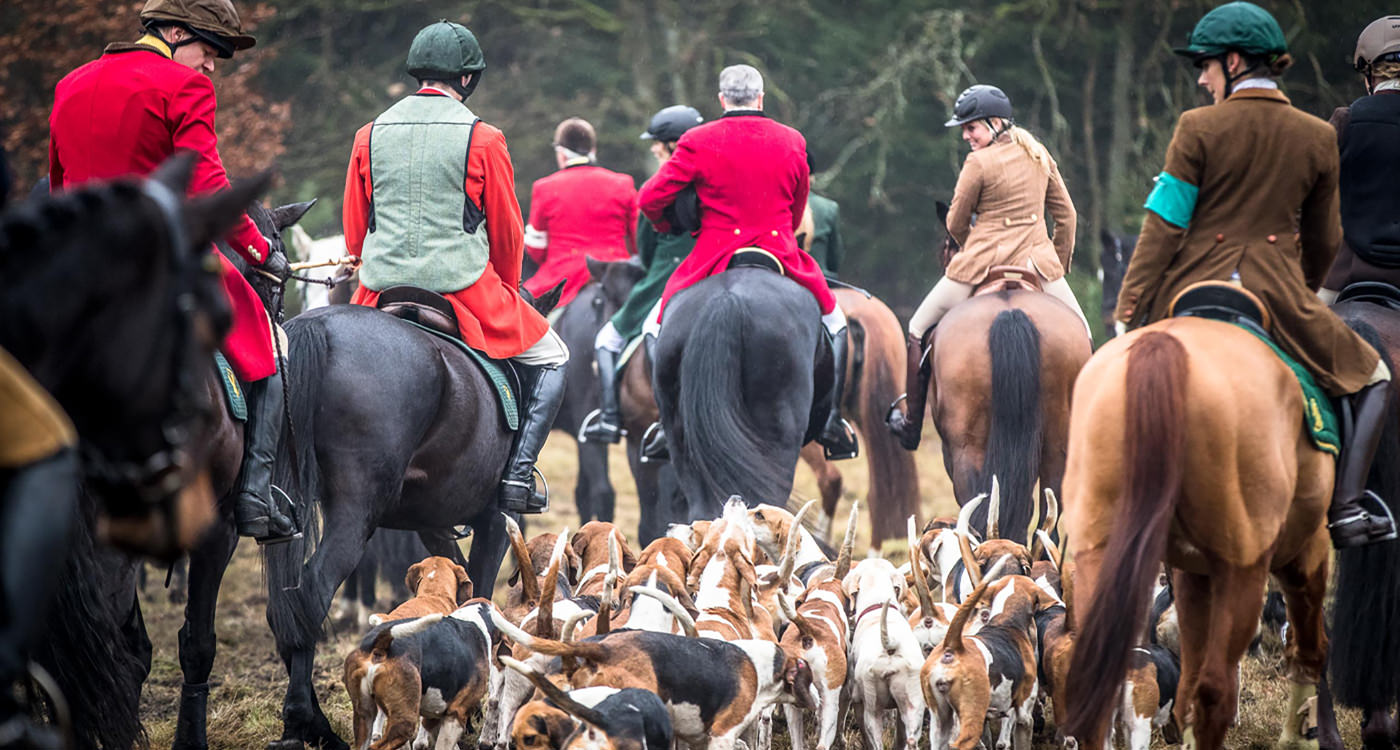 Jagd Wense 2016
