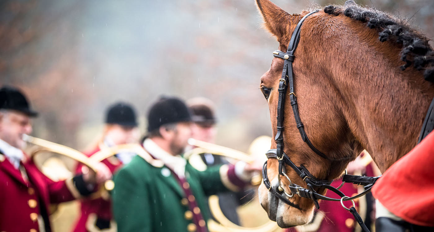 Jagd Wense 2016