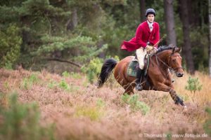 C. von Dungern Jugendwart