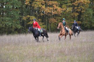 Gut Warxbüttel 2016