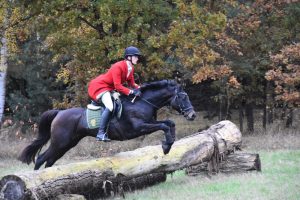 Gut Warxbüttel 2016