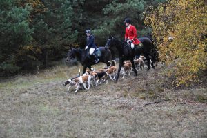 Gut Warxbüttel 2016
