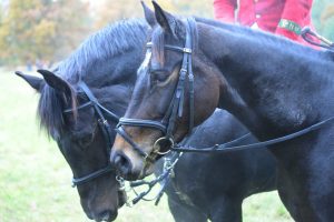 Gut Warxbüttel 2016